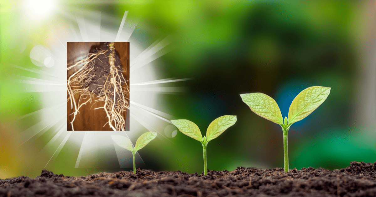 DON’T GIVE UP..YOUR ROOTS ARE GROWING!